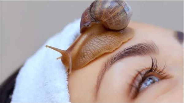 The Glass Skin Secret: Why Snail Mucin is a K-Beauty Essential